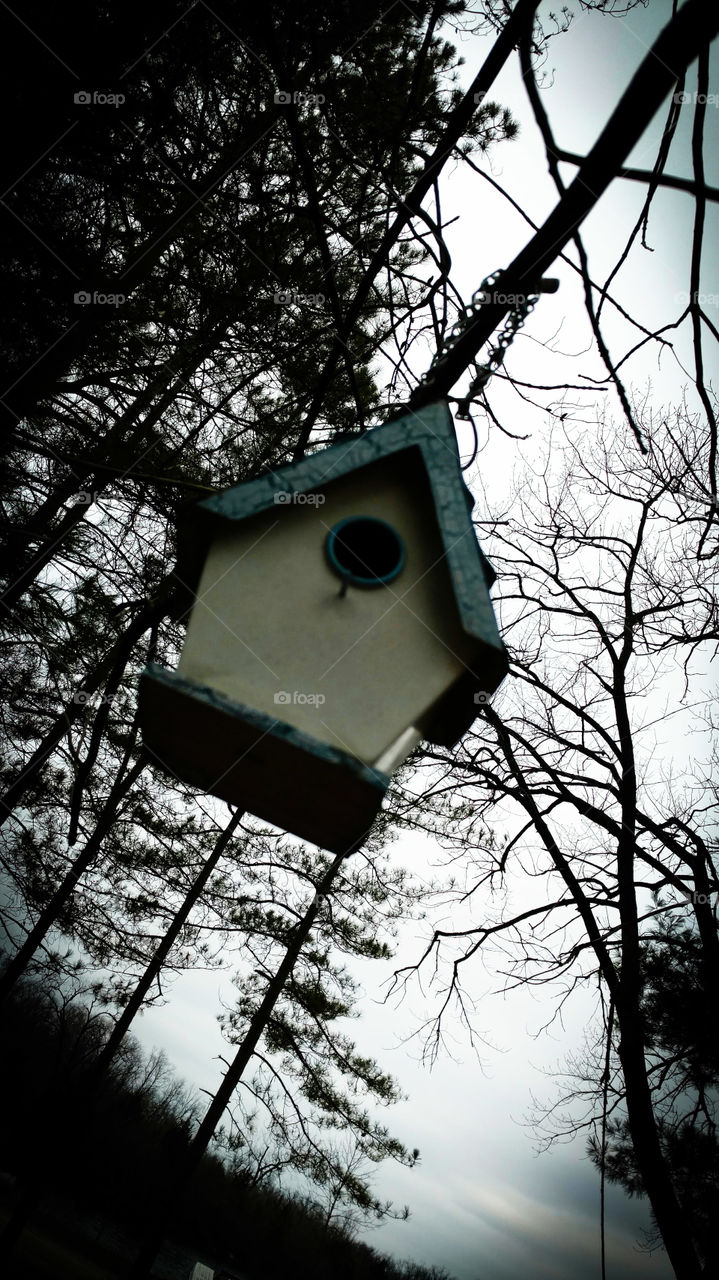 birdhouse