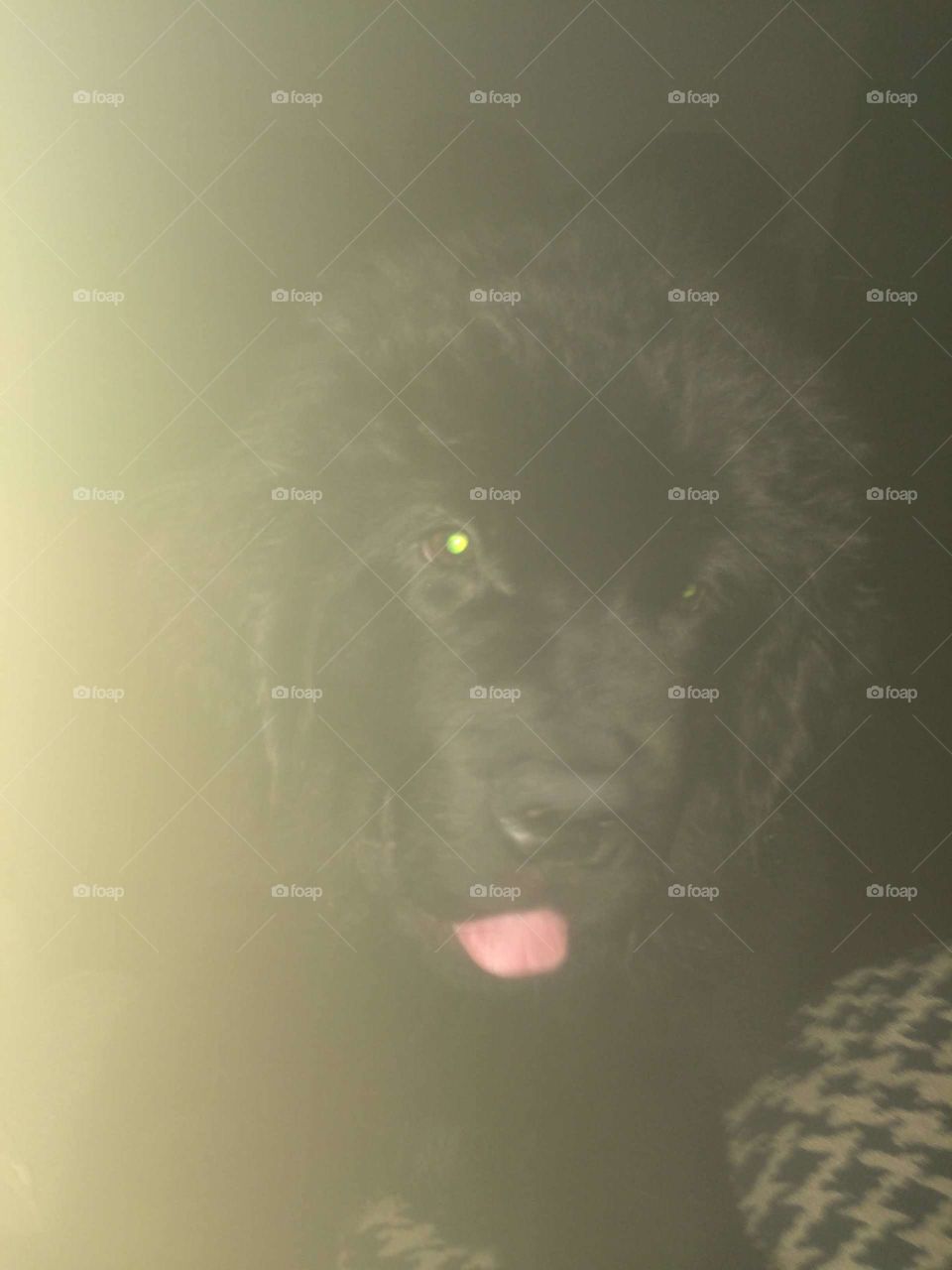 No Person, People, Portrait, One, Adult