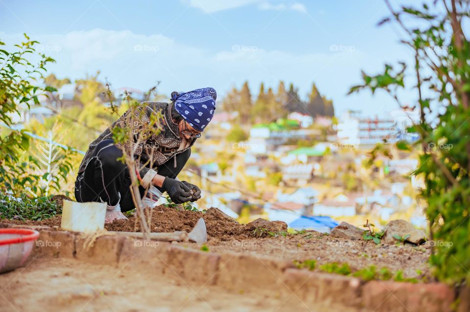 It's springtime! so is the time to grow some fruits and vegetables, a woman working in her kitchen garden.
