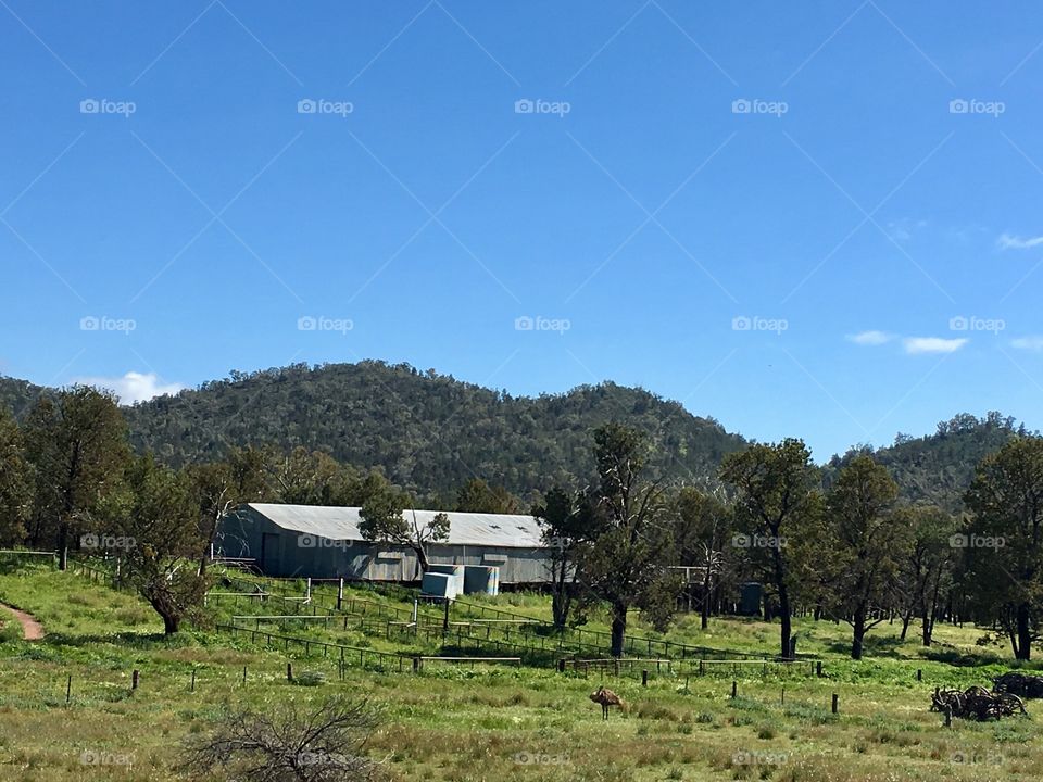 Sheep ranch station in south Australian outback