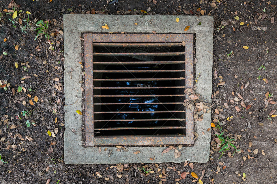 Sewer drain