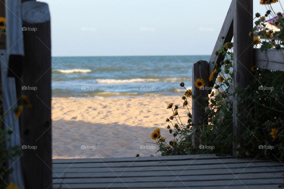 Beach walk 