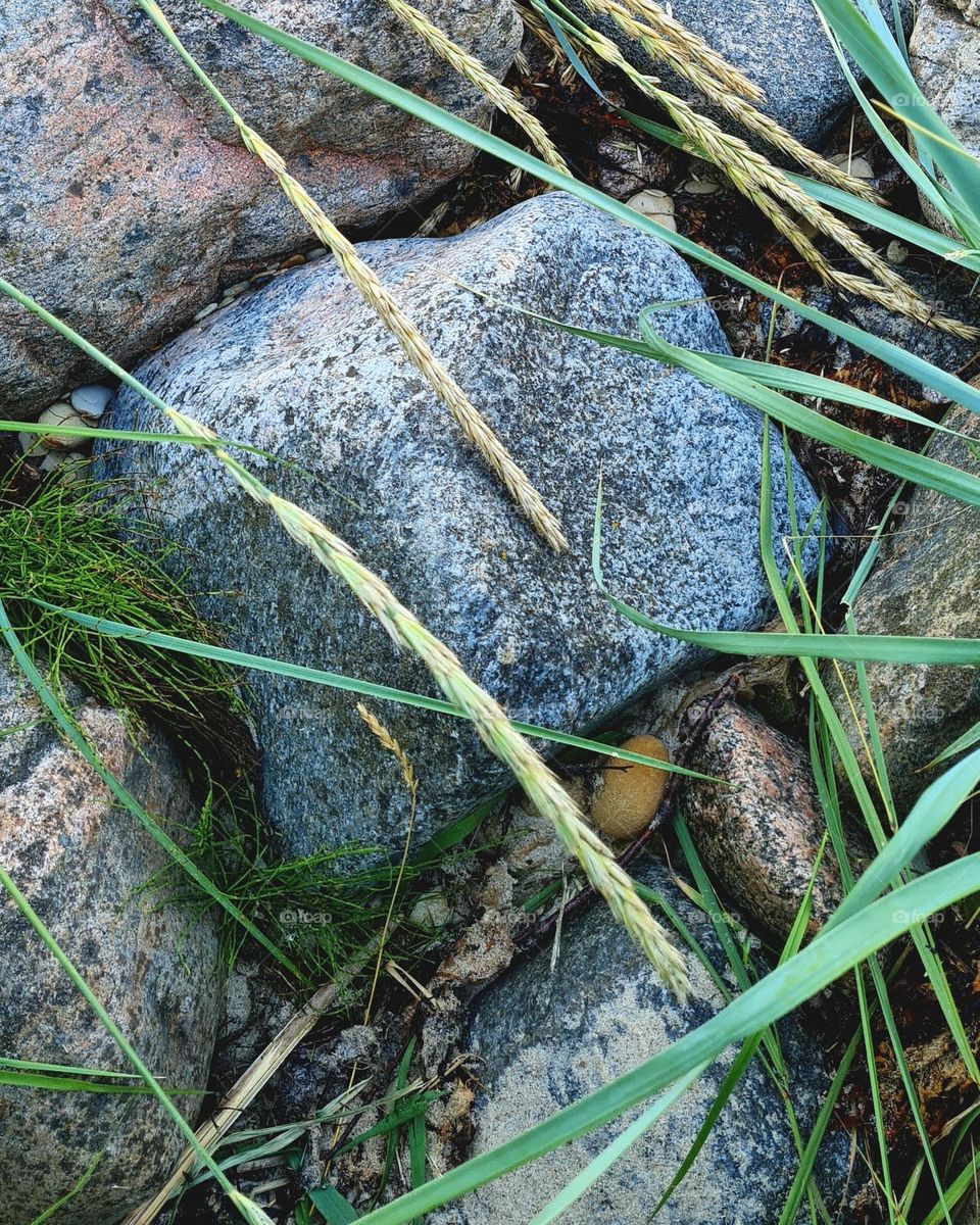 Stones and grass, background 