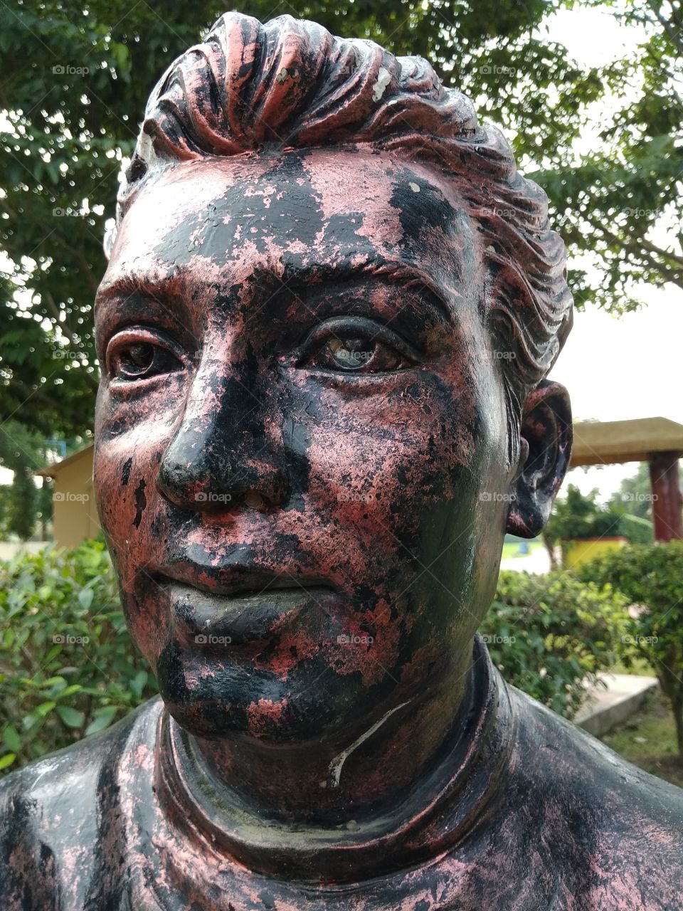 garden on the black man