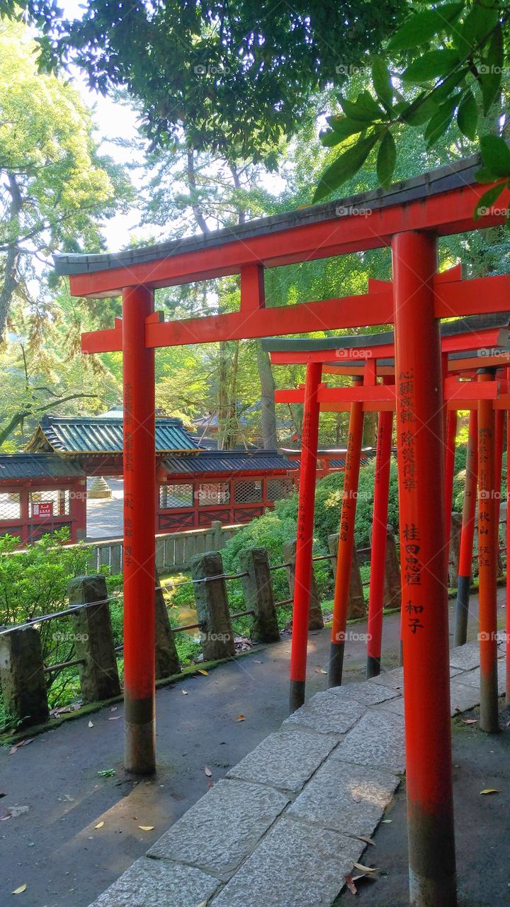 Nezu shrine in Tokyo