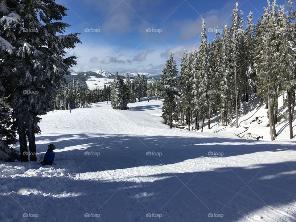 Road to the cabins