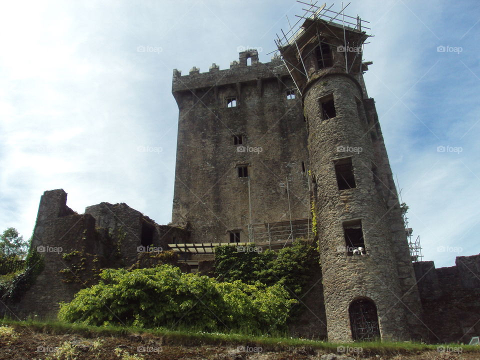 Blarney Castle