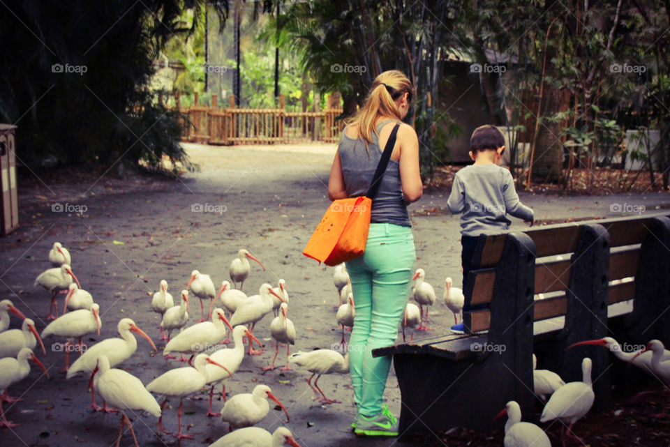 feeding the birds 