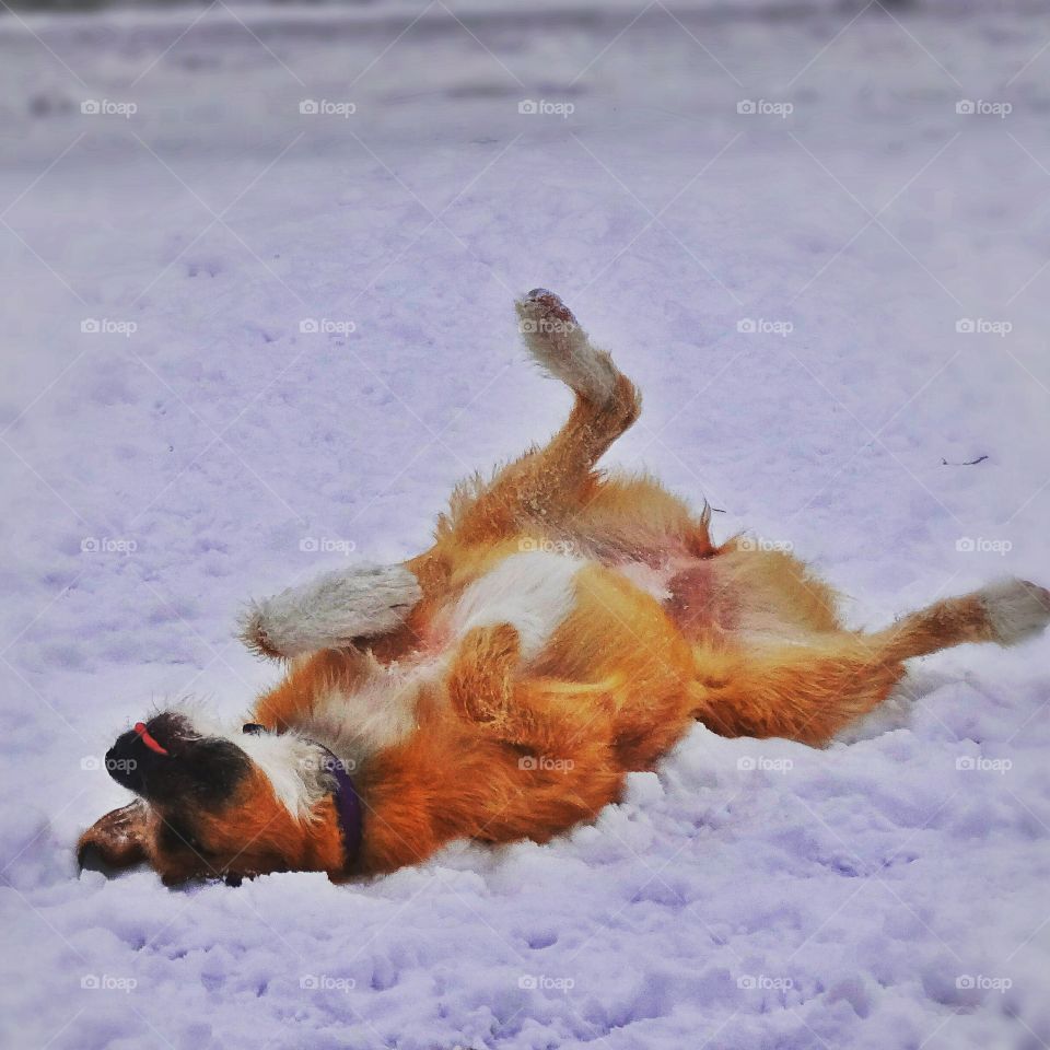 Sophie Loving the snow