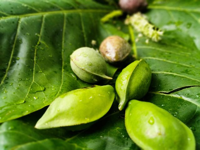 Green Almond