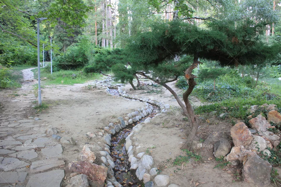 Park