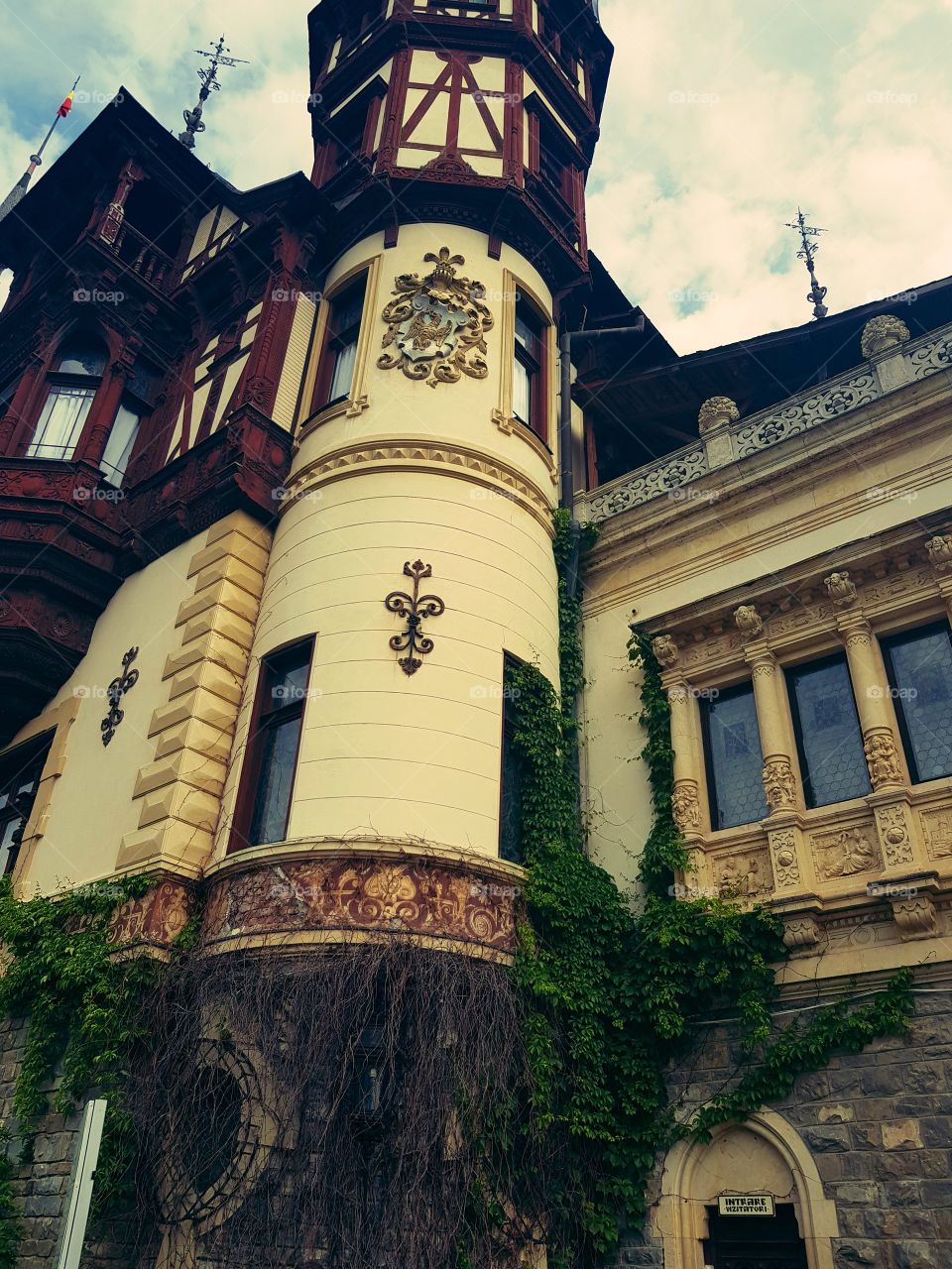 Close up view of peles castle walls
