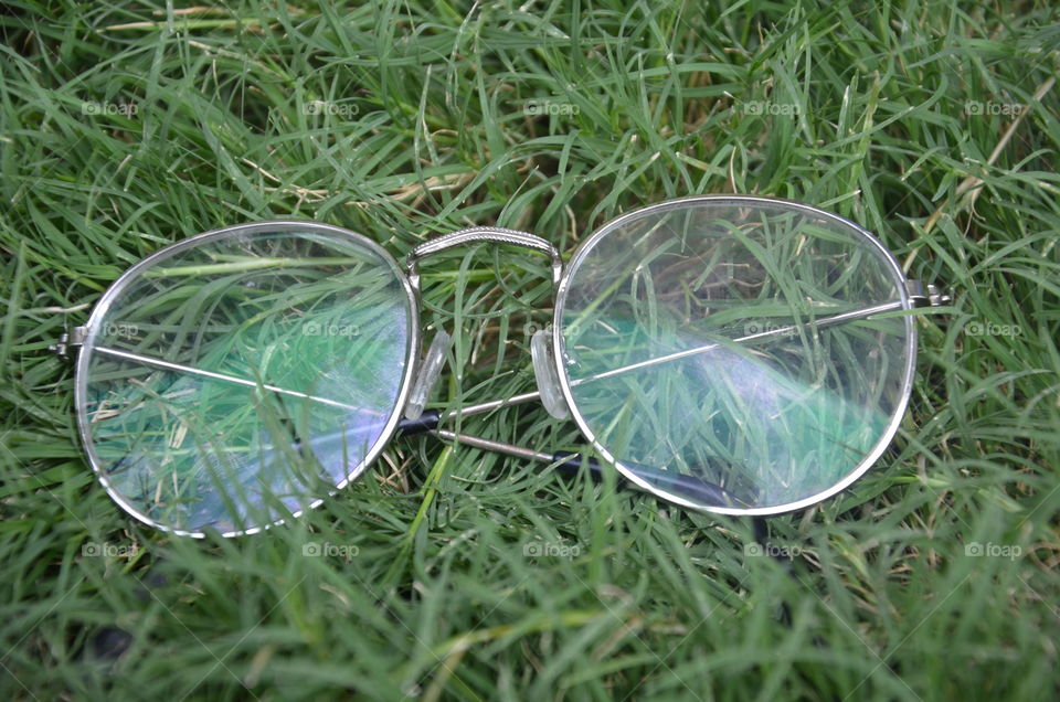 speacts
grass
park
transparent glass