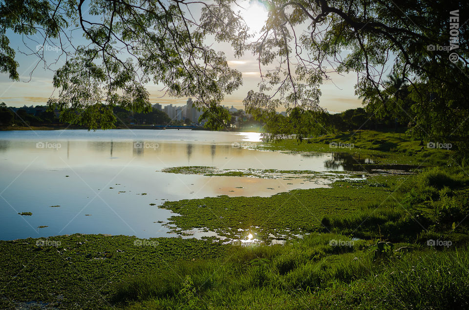 Sunset in the lake 