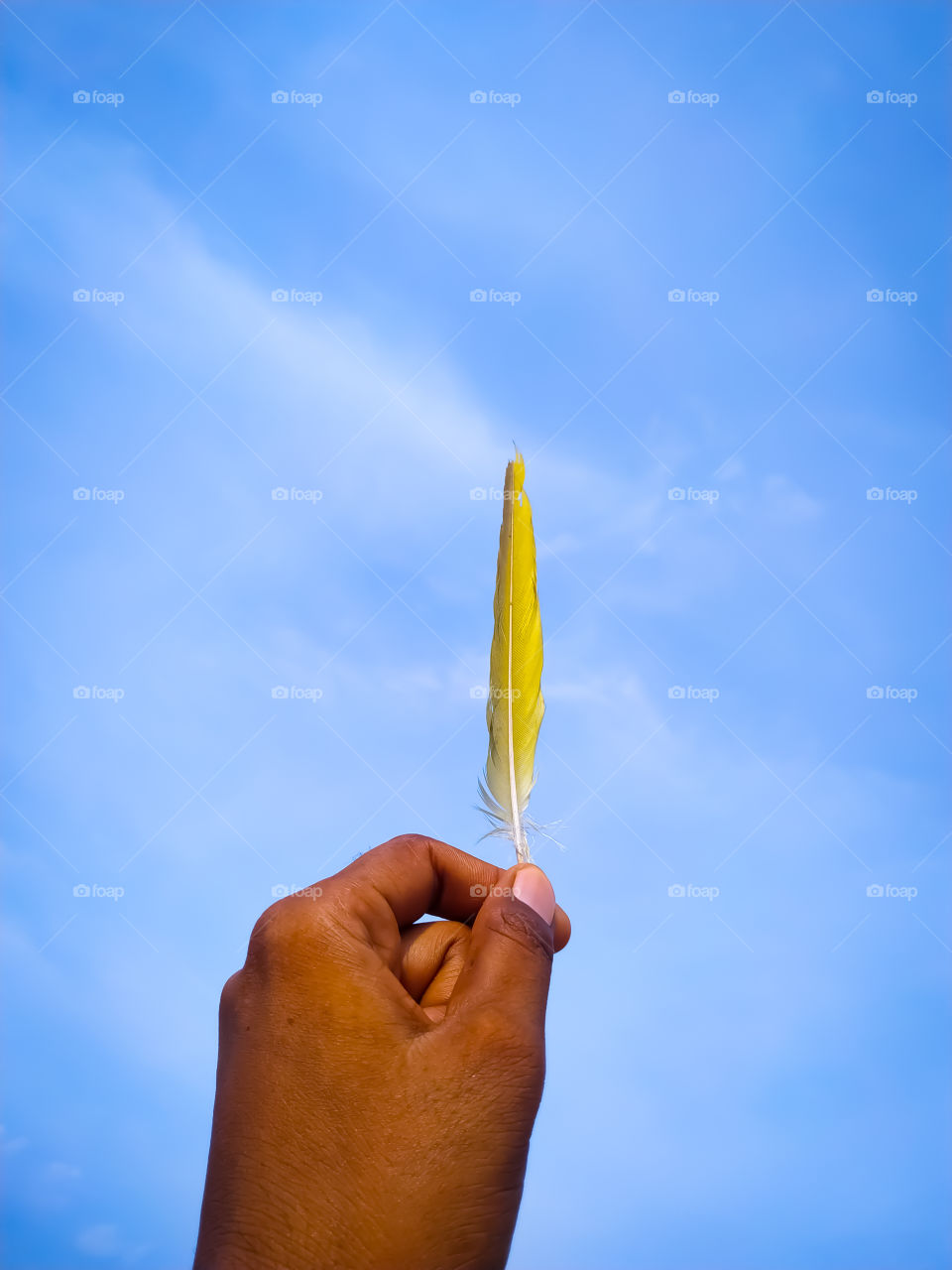 hand holding Bird wings isolated on blue sky background