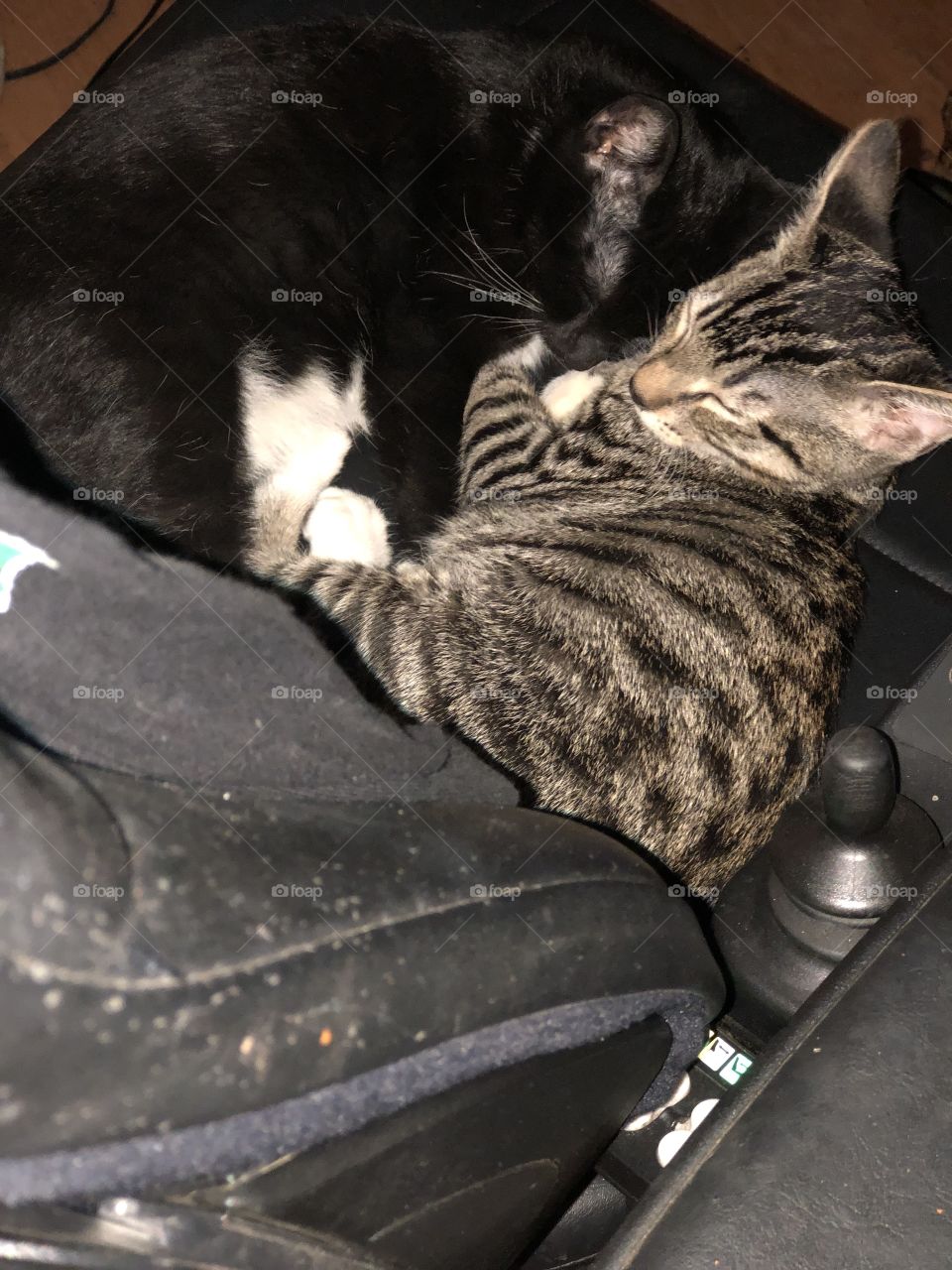 2 kittens sleeping on a wheelchair 