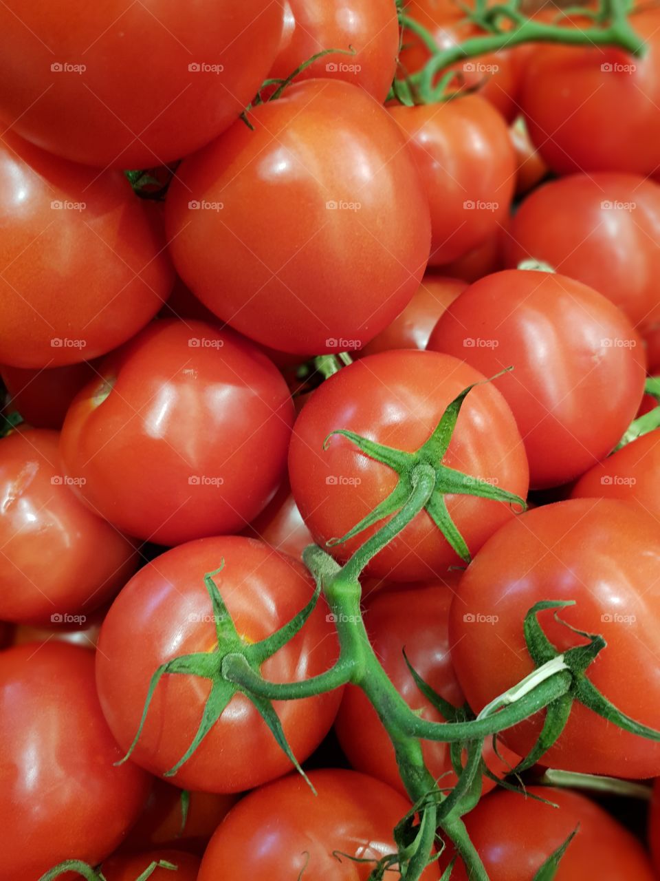 red tomatoes