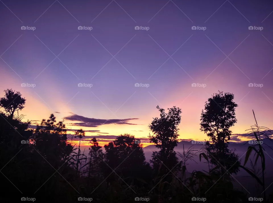 amazing purple sunset