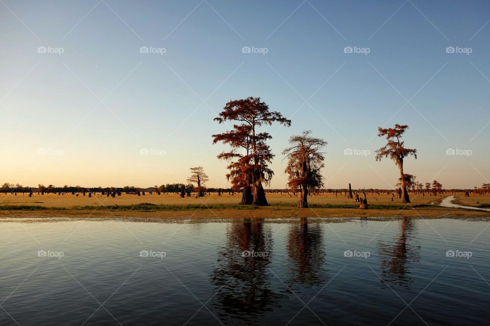 Bayou and cypress trees at sunset time near Henderson, Louisiana. Part of the Atchafalaya basin.