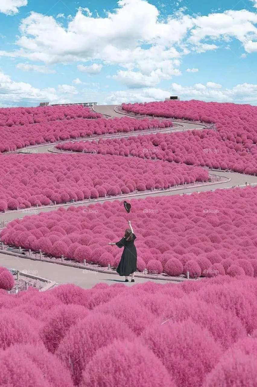 Spring time