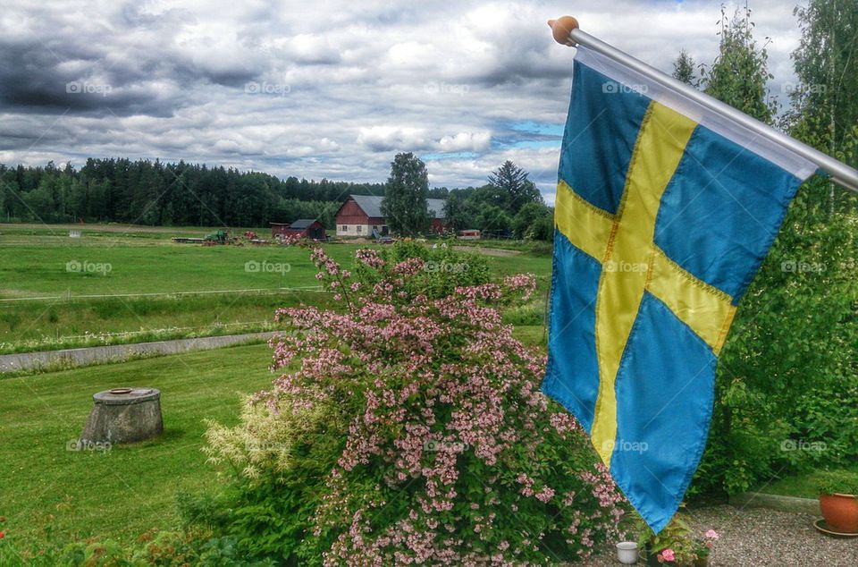Swedish summer in the countryside 