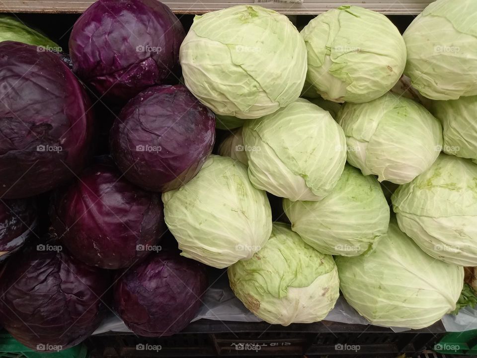 variety cabbage