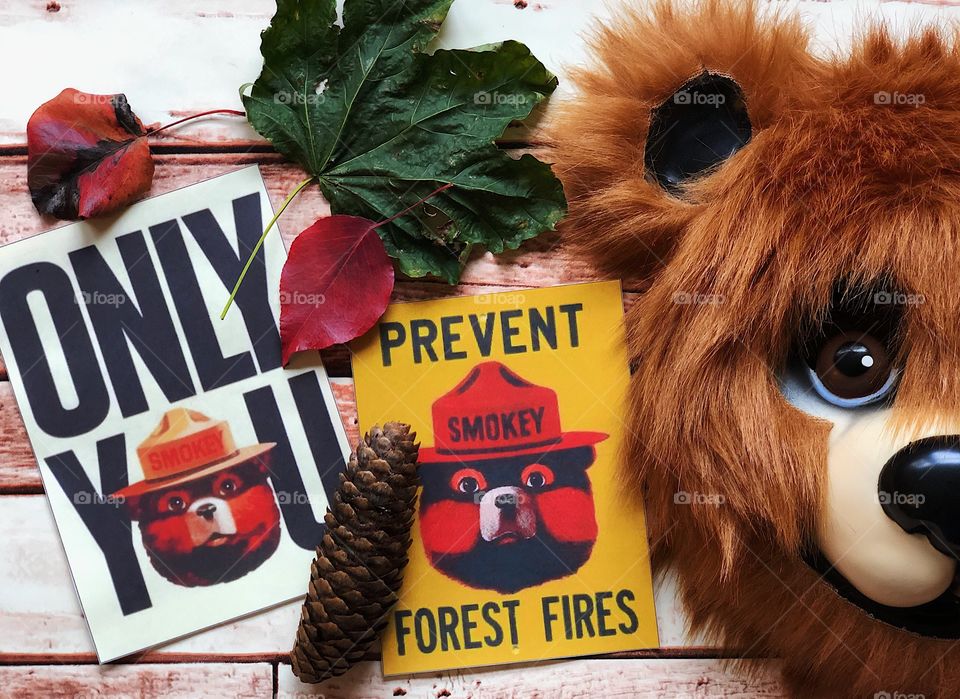 Preventing Forest Fires, Smokey The Bear Prevents Forest Fires, Flatlay Advertising Saving The Forest, Bear Mask With Forest Items, Colorful Fall Leaves With A Furry Bear 