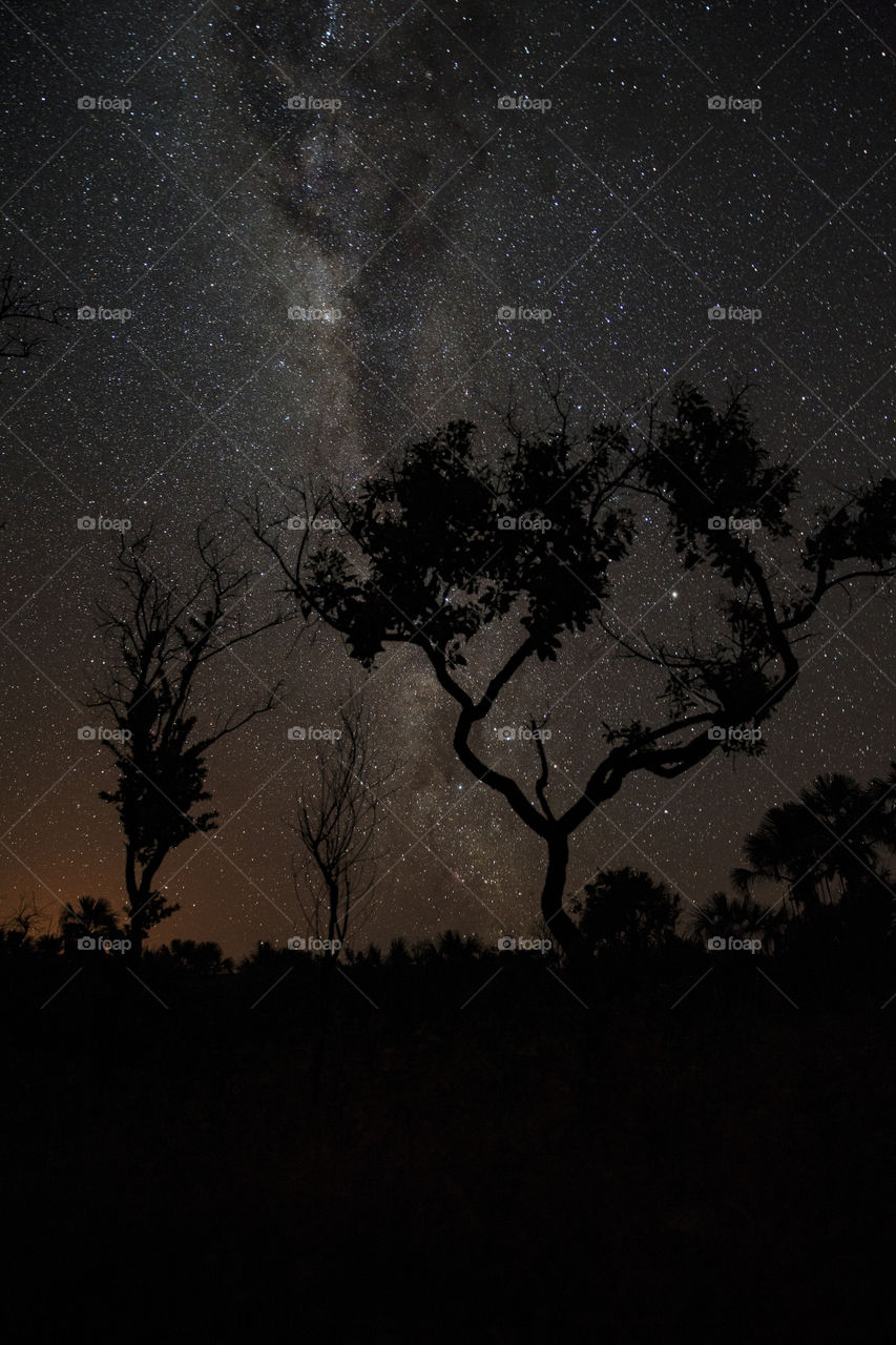 Starry night in Jalapao State Park.