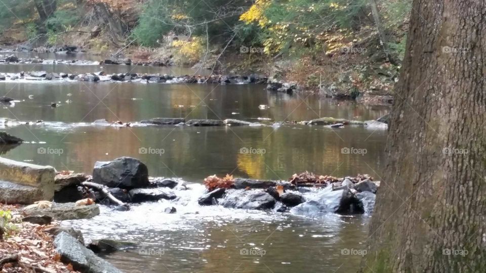 Hay Creek in Rustic Park