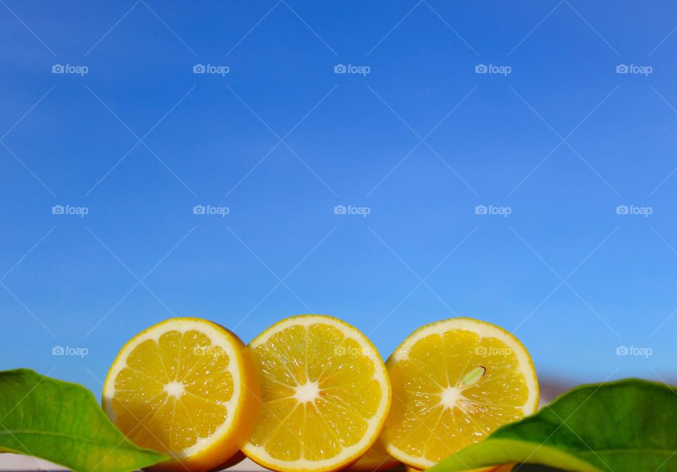 Slices of organic lemon in daylight