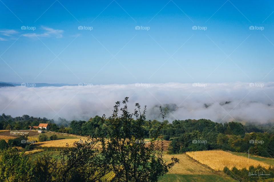 Fog landscape