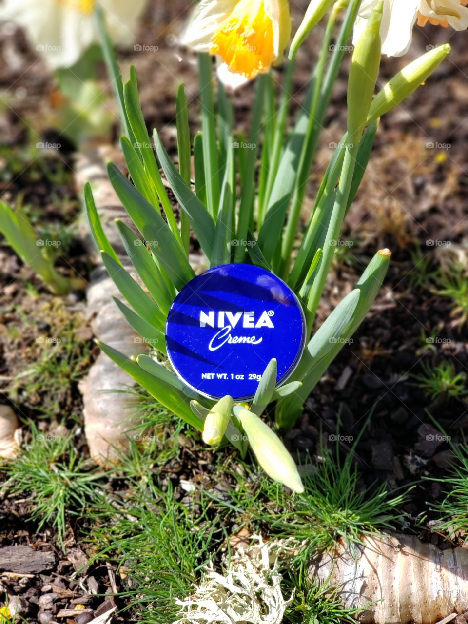 nivea