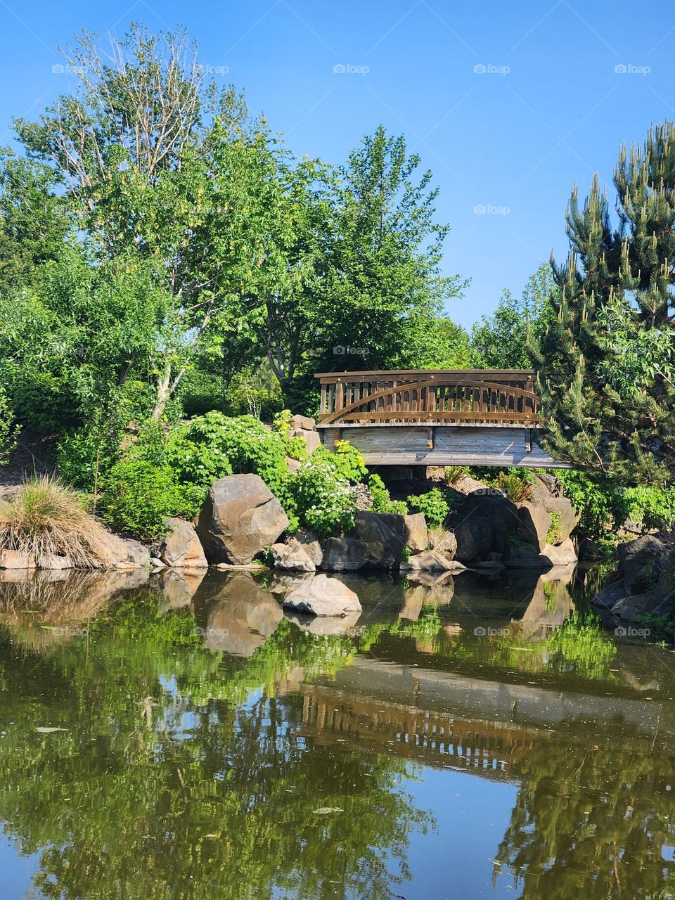 bridge reflection in calm water with trees and rocks on clear day in Oregon wetlands