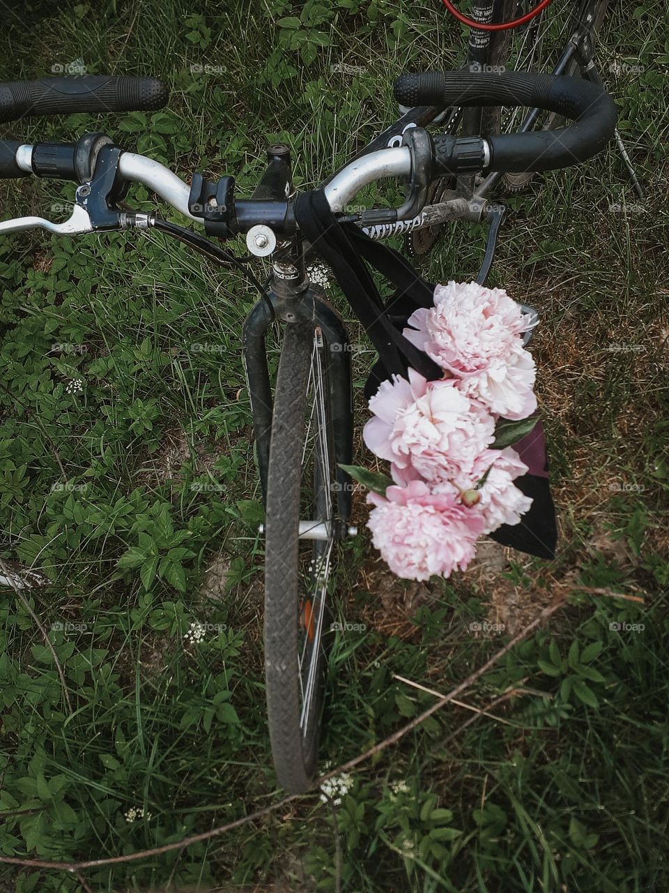 Macro photo of a black bicycle with a bouquet of pink peonies