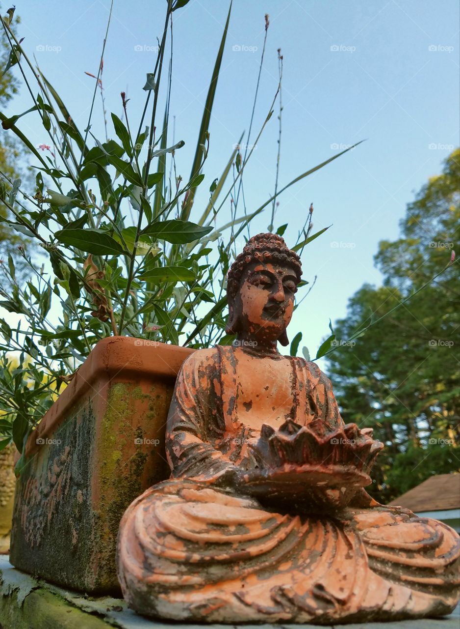 Buddha statue sitting in garden.