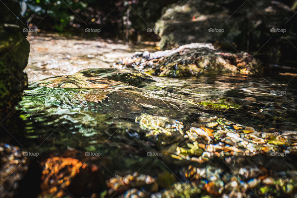 Natural creek source in the woods in summer 