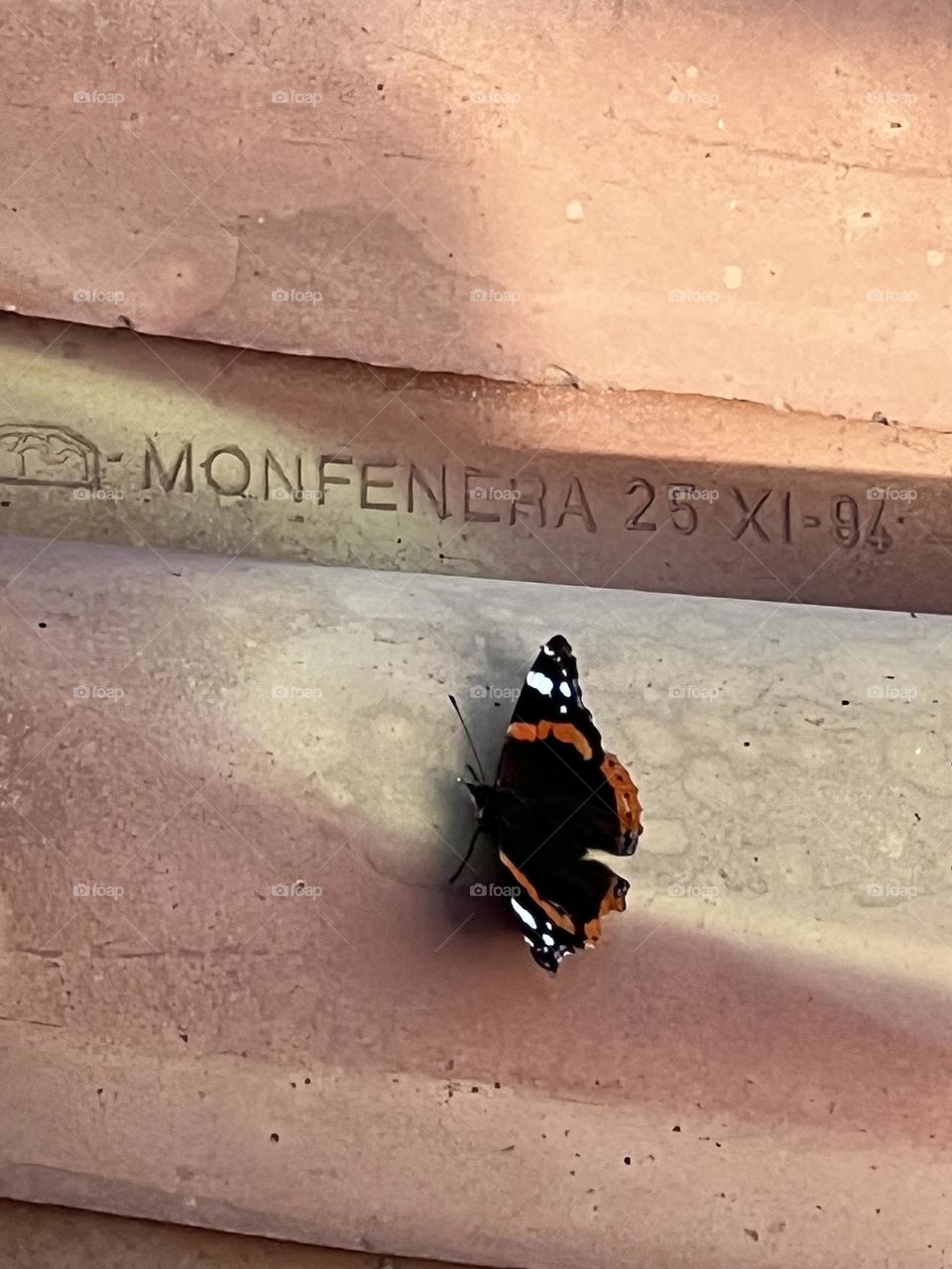 alone on the rooftop 