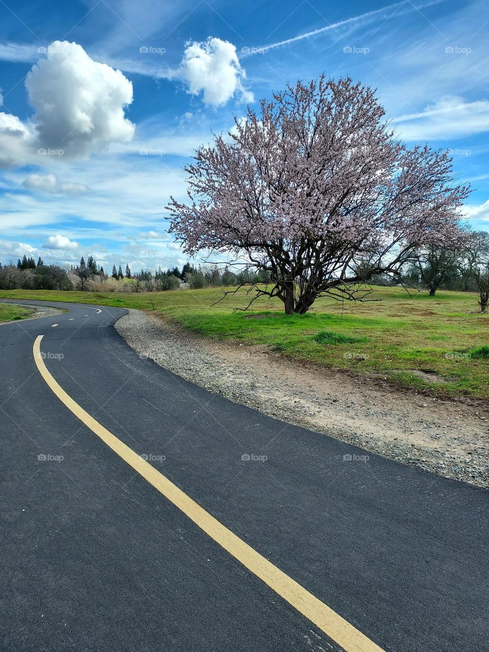 Out on a nature walk on a  beautiful day