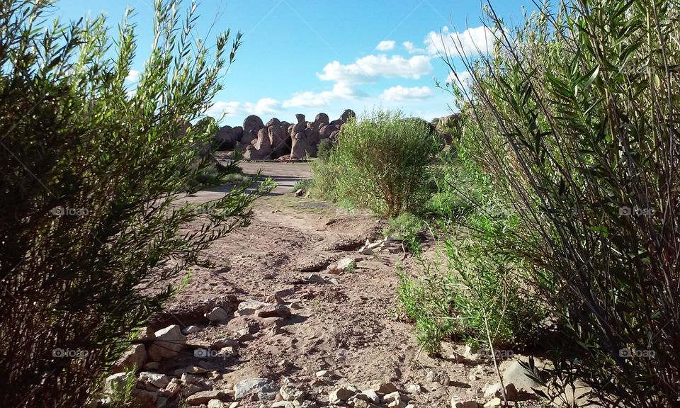 City of Rocks State Park NM