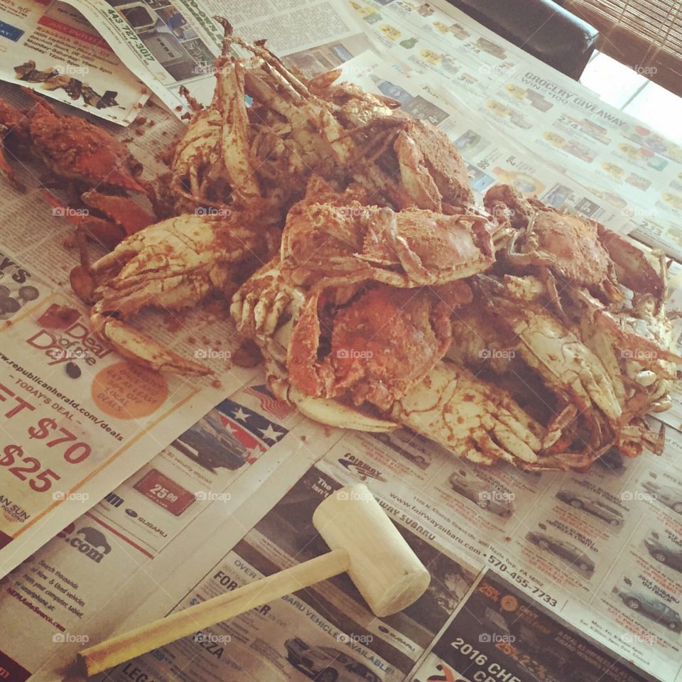 Maryland Crab 