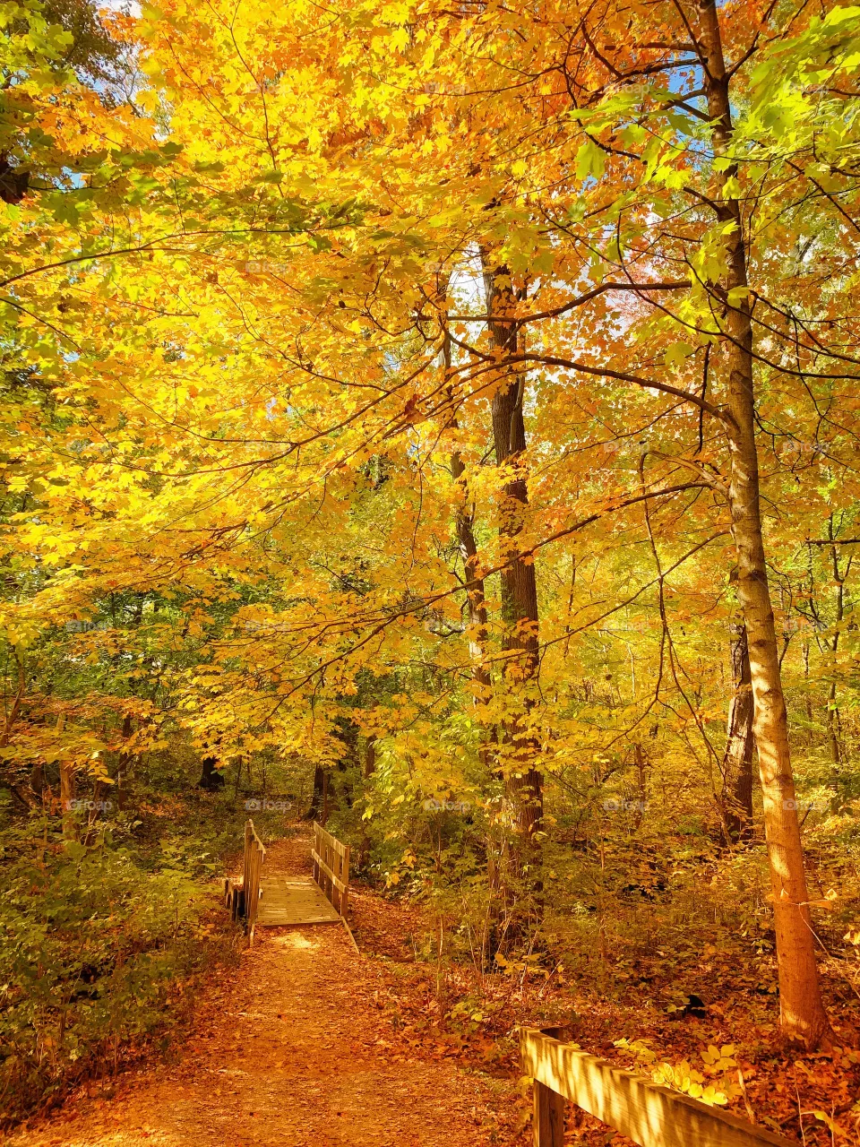 Fall 