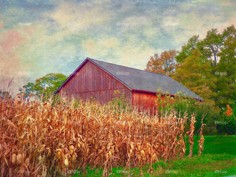 Rustic old Indiana barn. 