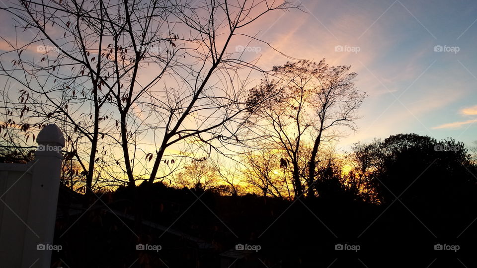 Tree, Landscape, Dawn, Sunset, Light