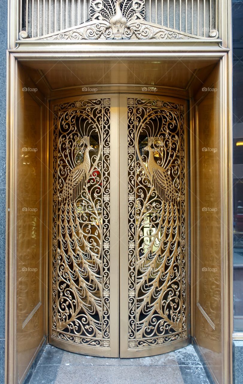 Ornate entry doors 