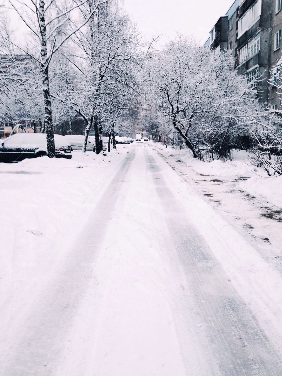Winter street 