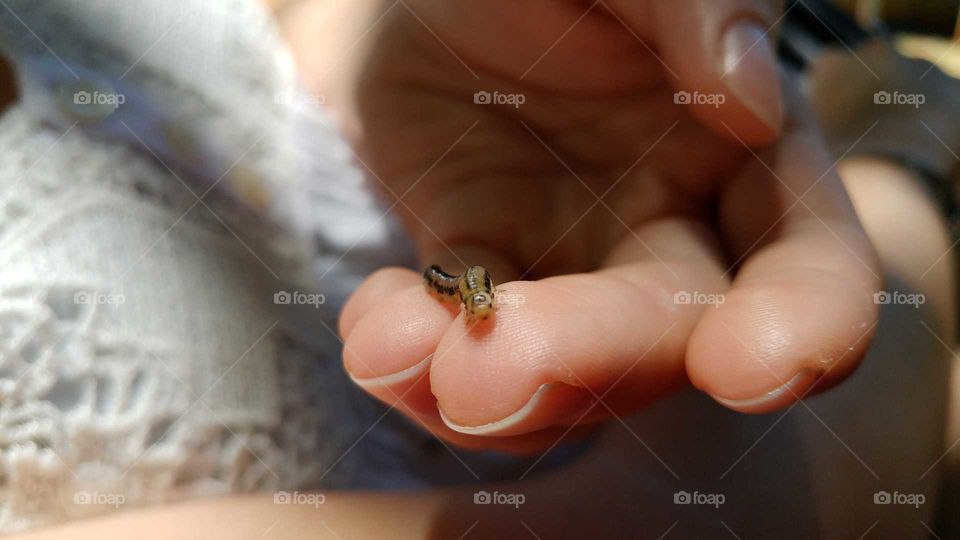 cute tiny Caterpillar bug on a finger