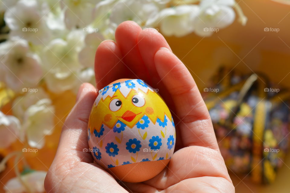 Easter, Egg, Hand, Woman, Nature