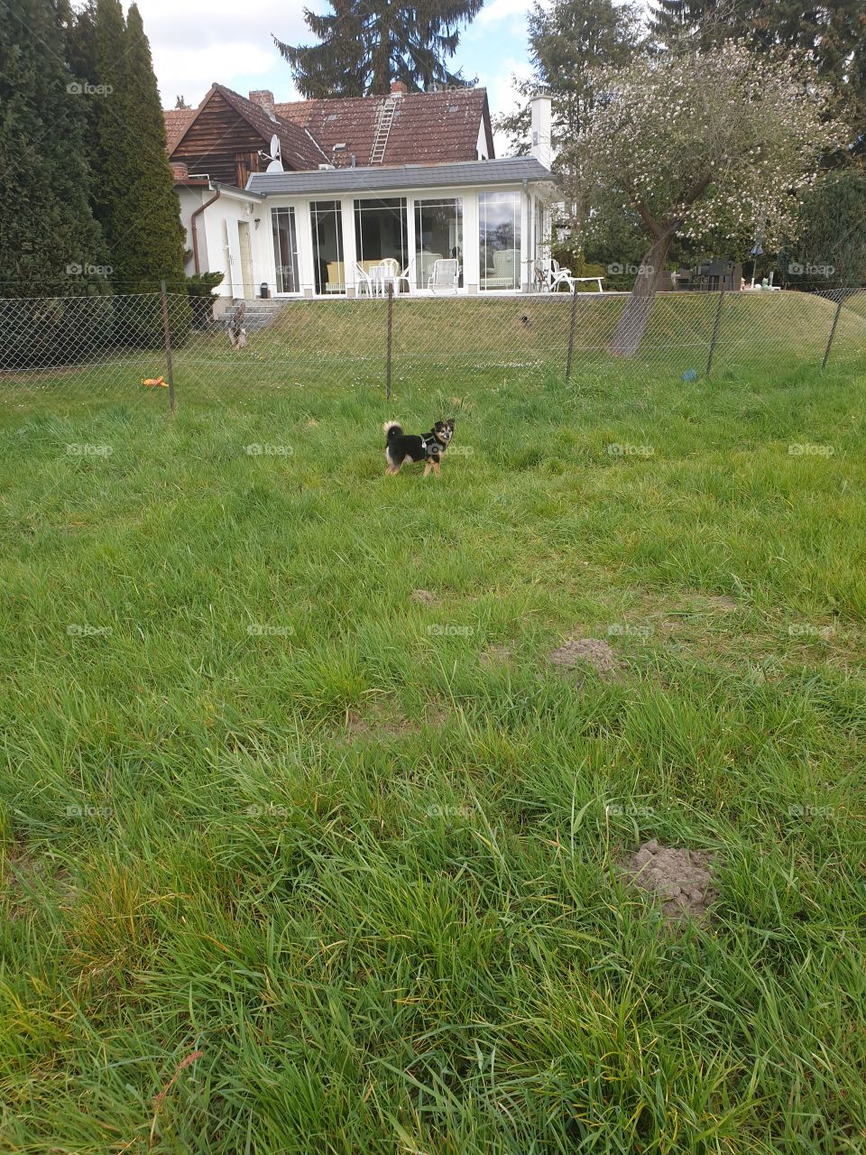 Natur in Coronazeiten