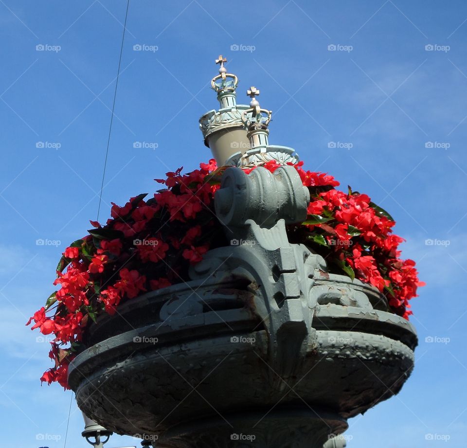 Red Color Story
by Getty Images Mission