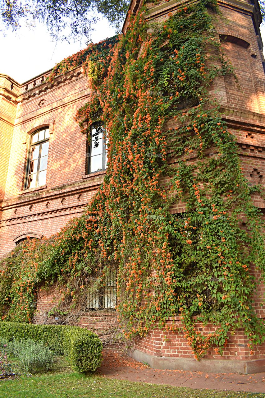 Jardín Botánico , Buenos Aires , Argentina